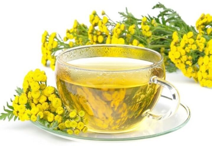 Tansy decoction for parasites in the body