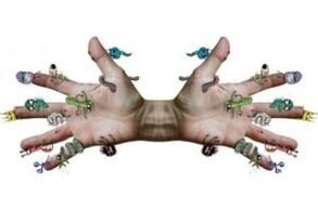 microbial parasites on human hands
