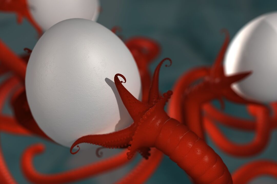 a worm parasite of humans